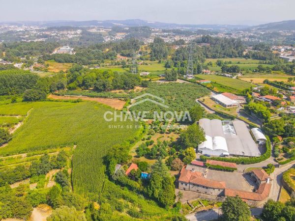 Quinta com duas Habitações independentes e espaço de eventos com 43000.00M2 - Paredes - Porto