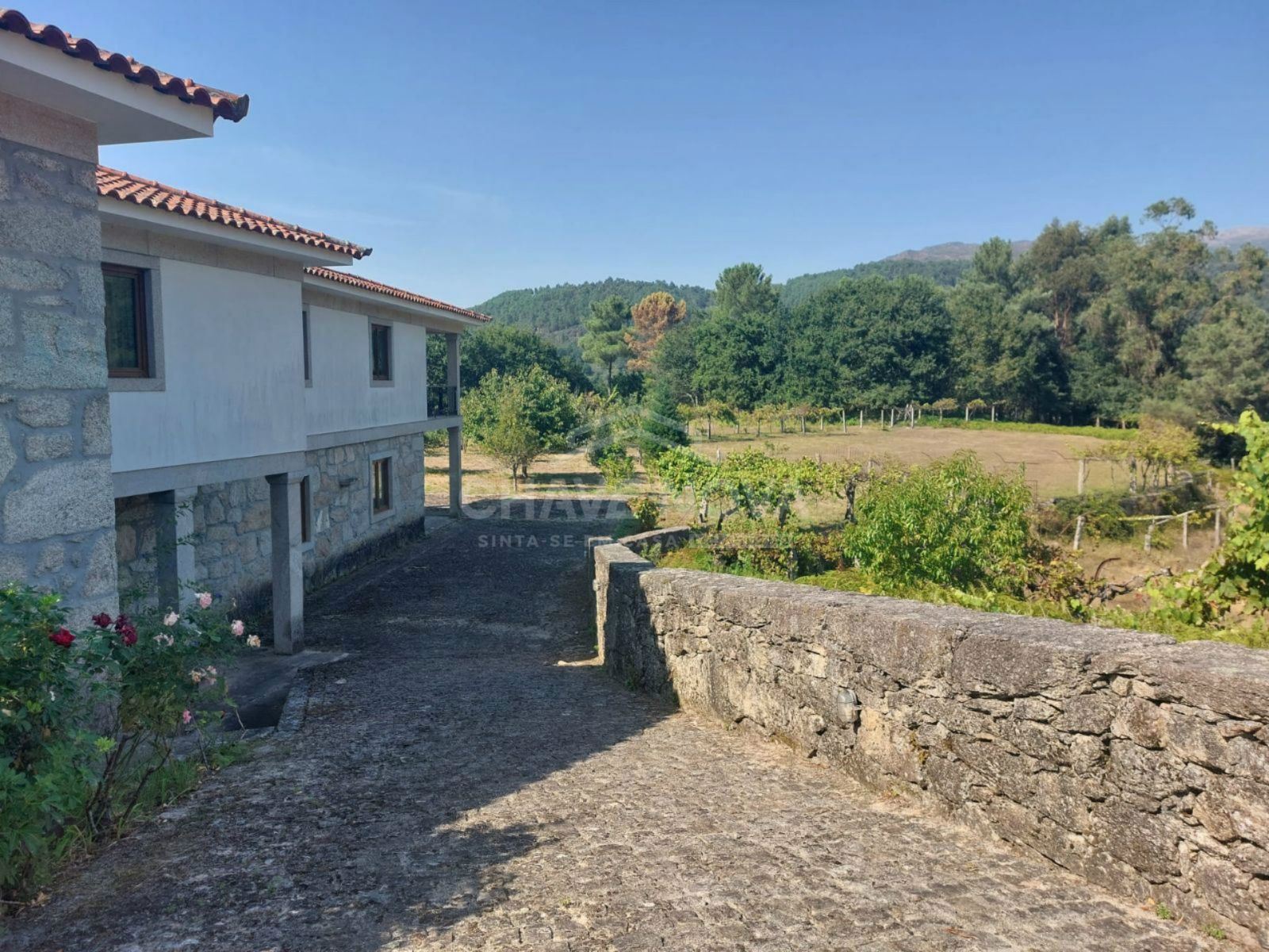 Quinta c/ terreno de 17.880mtrs2 | Arcos de Valdevez 