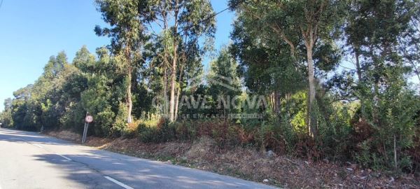 Land for sale in Ovar, Portugal — €110,000