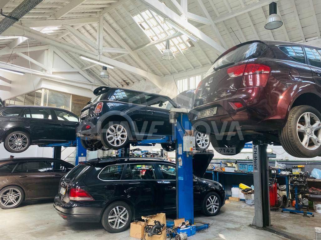 Negócio para Venda em Bonfim Foto 7