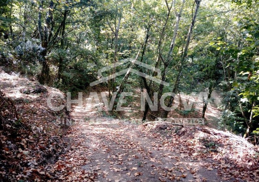 Fabuloso Terreno junto Água na Caniçada, Gerês