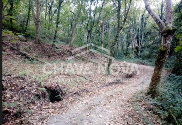Fabuloso Terreno junto Água na Caniçada, Gerês