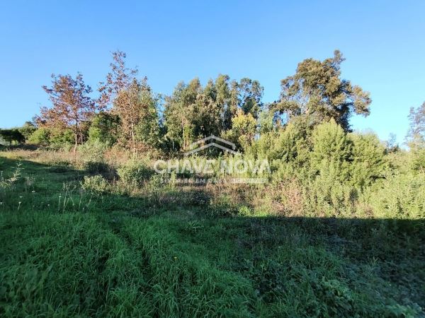 Terreno com 1410m2 para construção em Argoncilhe