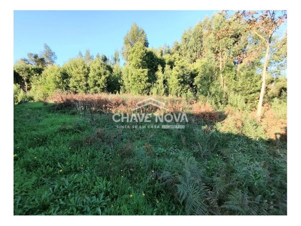 Terreno com 1410m2 para construção em Argoncilhe