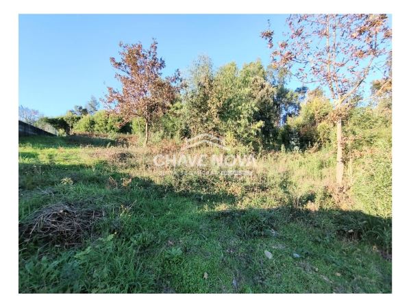 Terreno com 1410m2 para construção em Argoncilhe