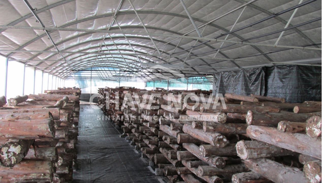 Quinta com Armazens/Estufas  de produção Cogumelos 