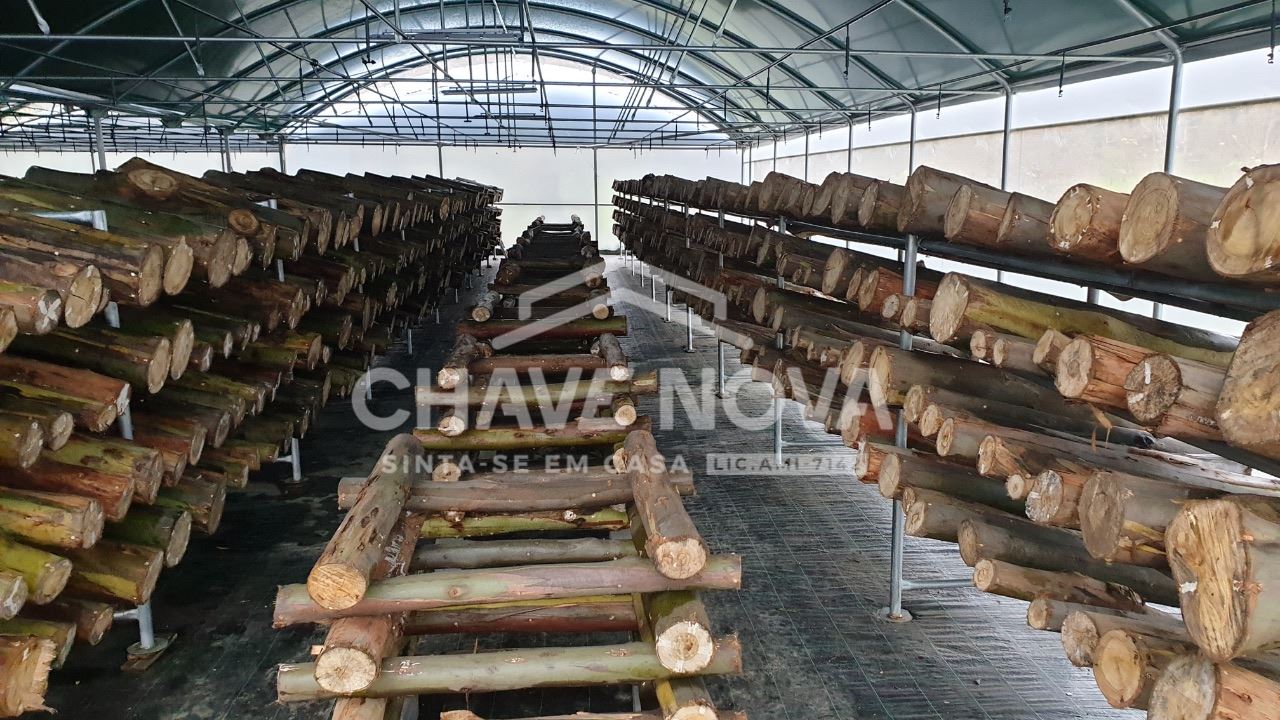 Quinta com Armazens/Estufas  de produção Cogumelos 