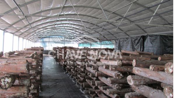 Quinta com Armazens/Estufas  de produção Cogumelos 