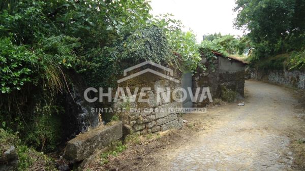 Quinta com Armazens/Estufas  de produção Cogumelos 