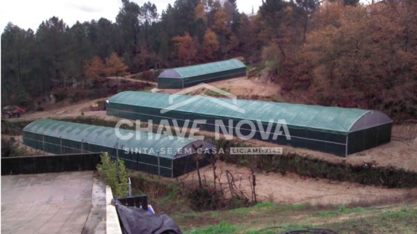 Quinta com Armazens/Estufas  de produção Cogumelos 