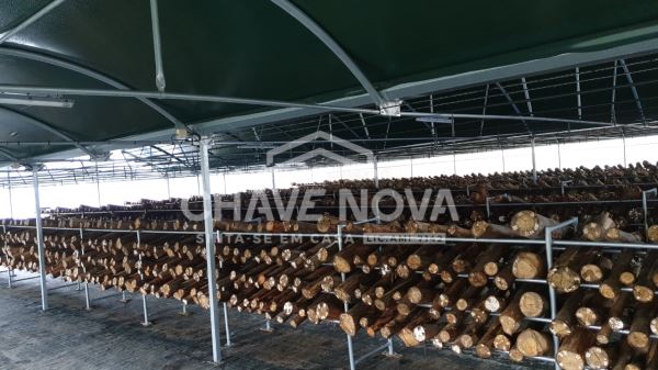 Quinta com Armazens/Estufas  de produção Cogumelos 