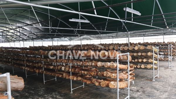 Quinta com Armazens/Estufas  de produção Cogumelos 