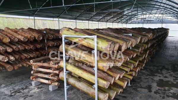 Quinta com Armazens/Estufas  de produção Cogumelos 