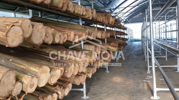 Quinta com Armazens/Estufas  de produção Cogumelos 