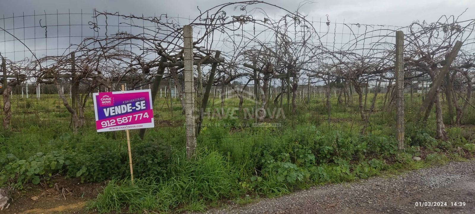 Terreno com 4195m2 em Oiã, Oliveira do Bairro
