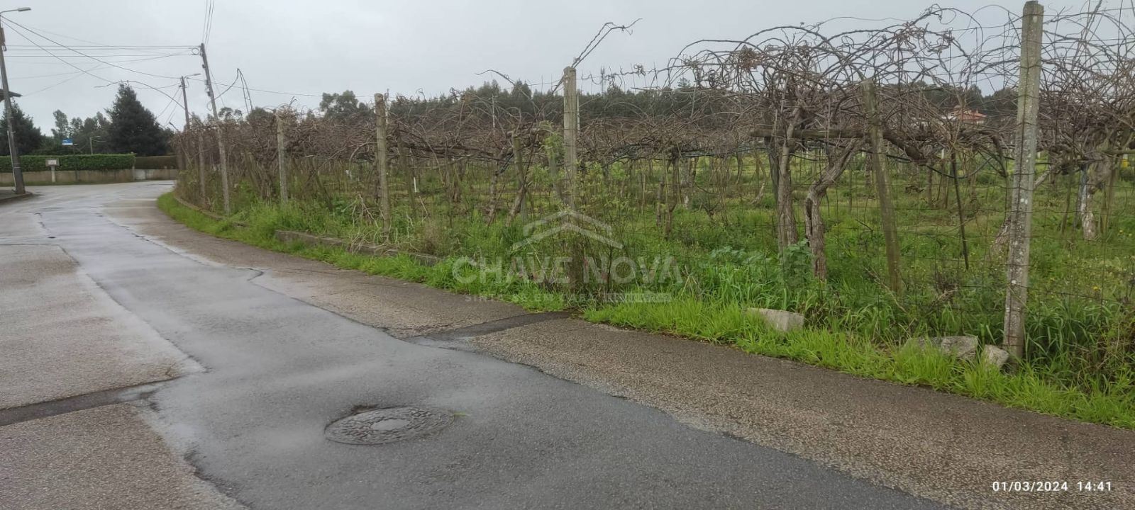 Terreno com 4195m2 em Oiã, Oliveira do Bairro