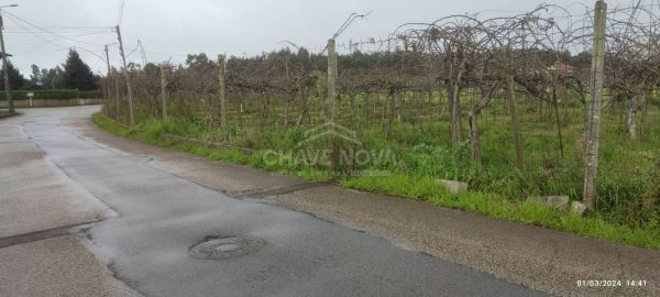 Terreno com 4195m2 em Oiã, Oliveira do Bairro