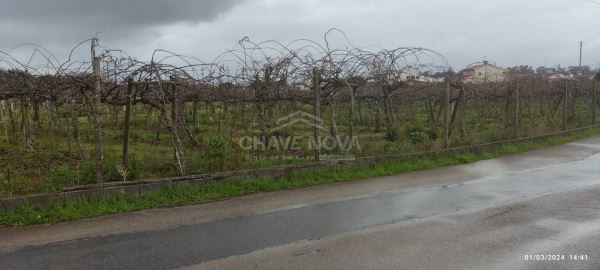 Terreno com 4195m2 em Oiã, Oliveira do Bairro