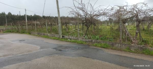 Terreno com 4195m2 em Oiã, Oliveira do Bairro