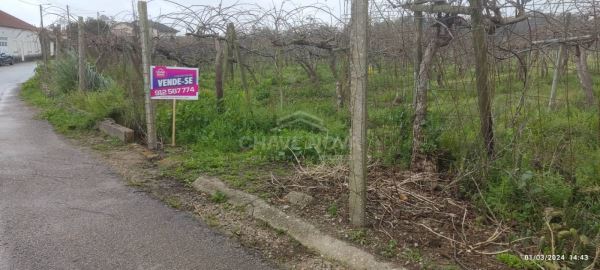 Terreno com 4195m2 em Oiã, Oliveira do Bairro