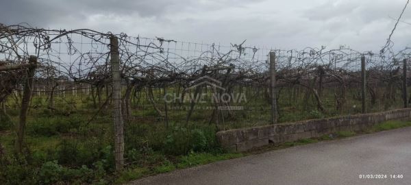 Terreno com 4195m2 em Oiã, Oliveira do Bairro