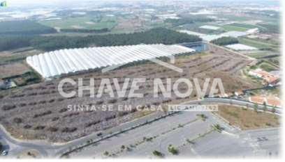 Terreno Agricola ou Rústico para Venda em A dos Cunhados e Maceira