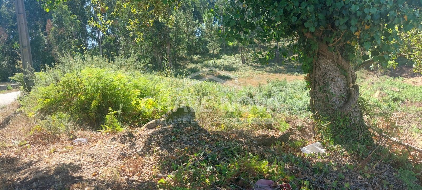 Terreno para Venda em Sandim, Olival, Lever e Crestuma