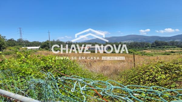 Quinta com Casa Rural para Reconstrução Vala Cambra 