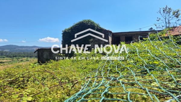 Quinta com Casa Rural para Reconstrução Vala Cambra 