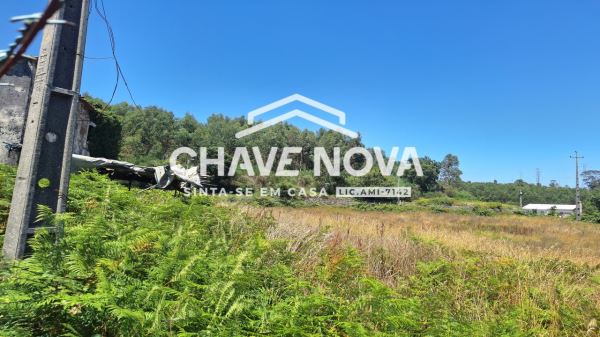 Quinta com Casa Rural para Reconstrução Vala Cambra 