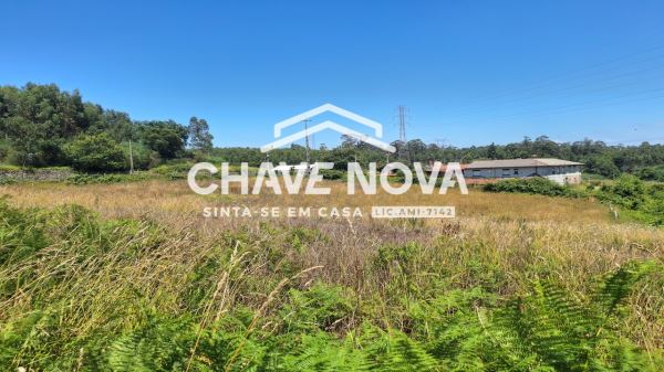 Quinta com Casa Rural para Reconstrução Vala Cambra 