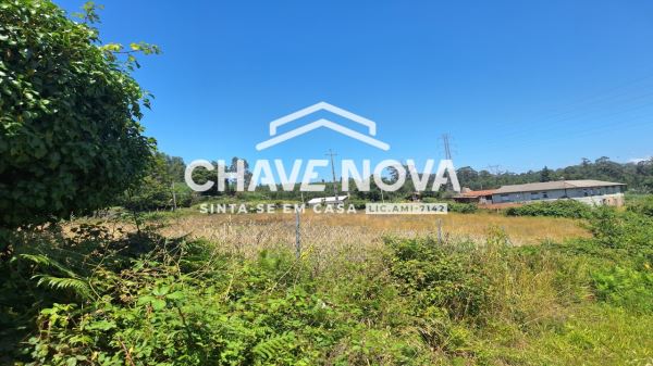 Quinta com Casa Rural para Reconstrução Vala Cambra 