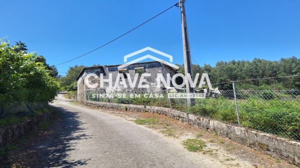 Quinta com Casa Rural para Reconstrução Vala Cambra 