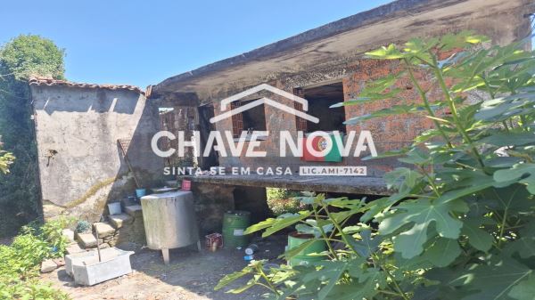 Quinta com Casa Rural para Reconstrução Vala Cambra 