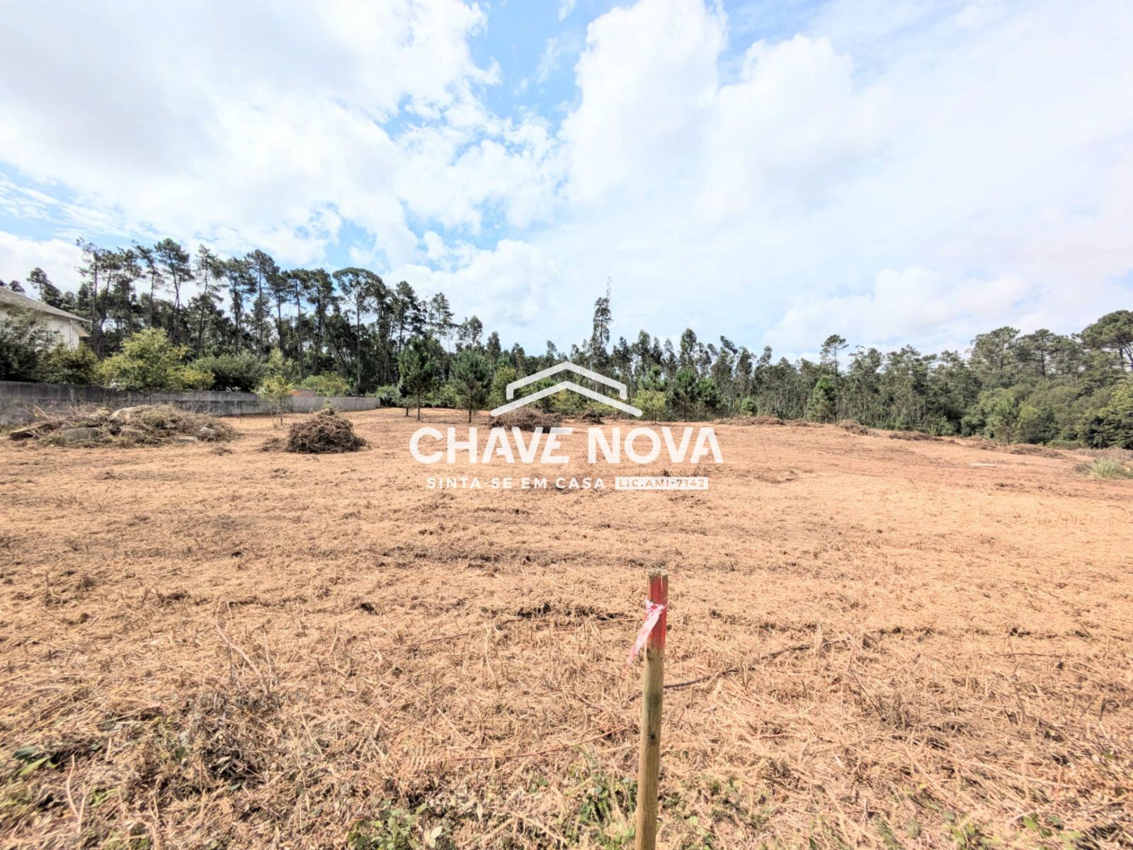 Terreno misto com 11.500m2 para venda em Pigeiros, Santa Maria da Feira