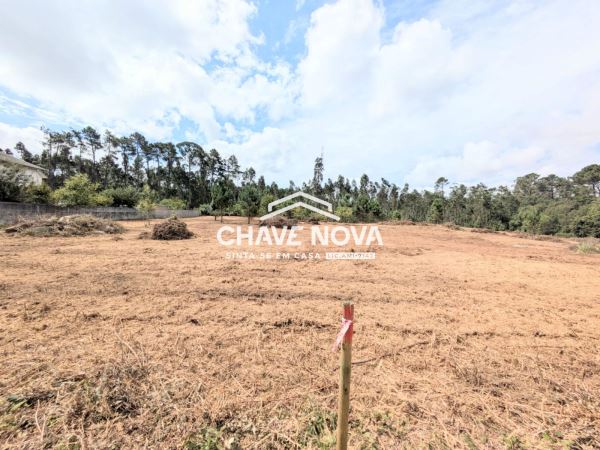 Terreno misto com 11.500m2 para venda em Pigeiros, Santa Maria da Feira