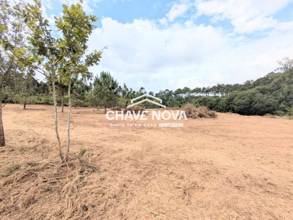 Terreno misto com 11.500m2 para venda em Pigeiros, Santa Maria da Feira