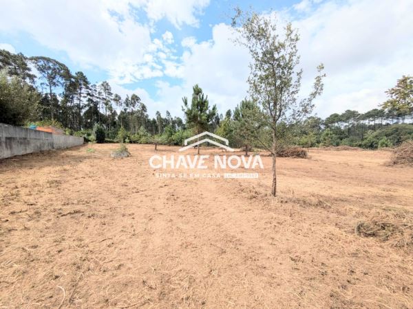 Terreno misto com 11.500m2 para venda em Pigeiros, Santa Maria da Feira