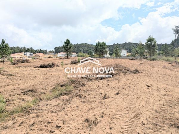 Terreno misto com 11.500m2 para venda em Pigeiros, Santa Maria da Feira
