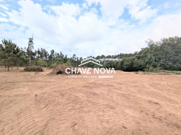 Terreno misto com 11.500m2 para venda em Pigeiros, Santa Maria da Feira