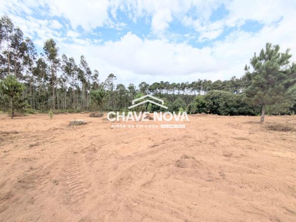 Terreno misto com 11.500m2 para venda em Pigeiros, Santa Maria da Feira