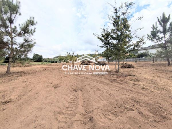 Terreno misto com 11.500m2 para venda em Pigeiros, Santa Maria da Feira