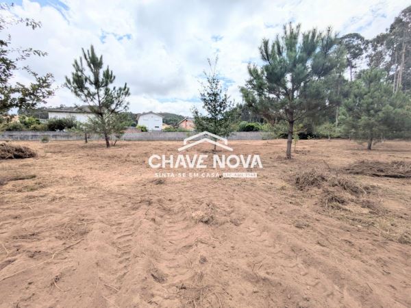 Terreno misto com 11.500m2 para venda em Pigeiros, Santa Maria da Feira
