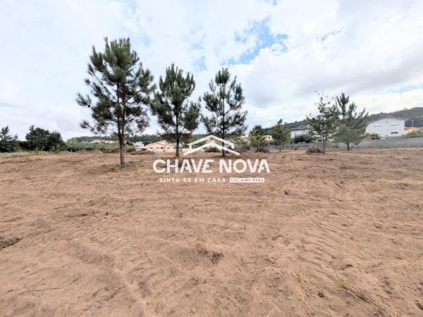 Terreno misto com 11.500m2 para venda em Pigeiros, Santa Maria da Feira
