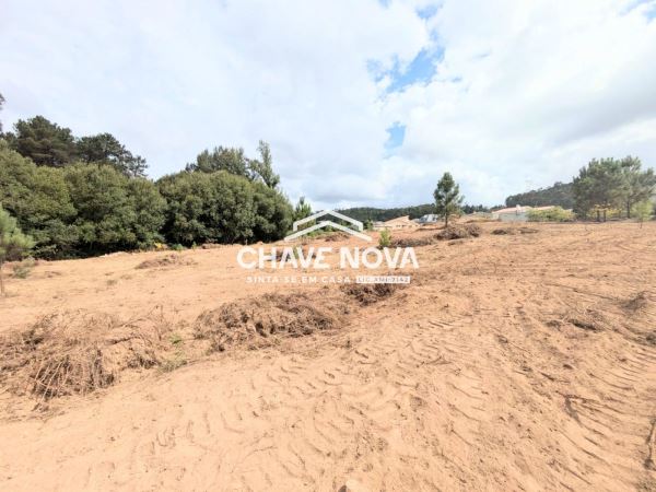 Terreno misto com 11.500m2 para venda em Pigeiros, Santa Maria da Feira