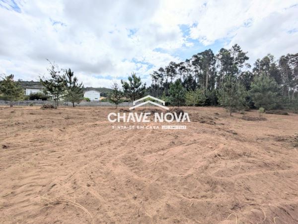 Terreno misto com 11.500m2 para venda em Pigeiros, Santa Maria da Feira