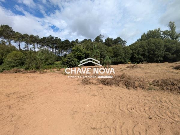Terreno misto com 11.500m2 para venda em Pigeiros, Santa Maria da Feira