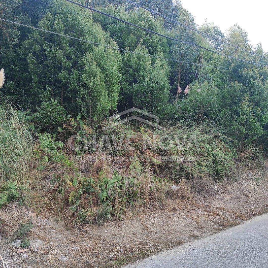 Terreno para Venda em Gulpilhares e Valadares