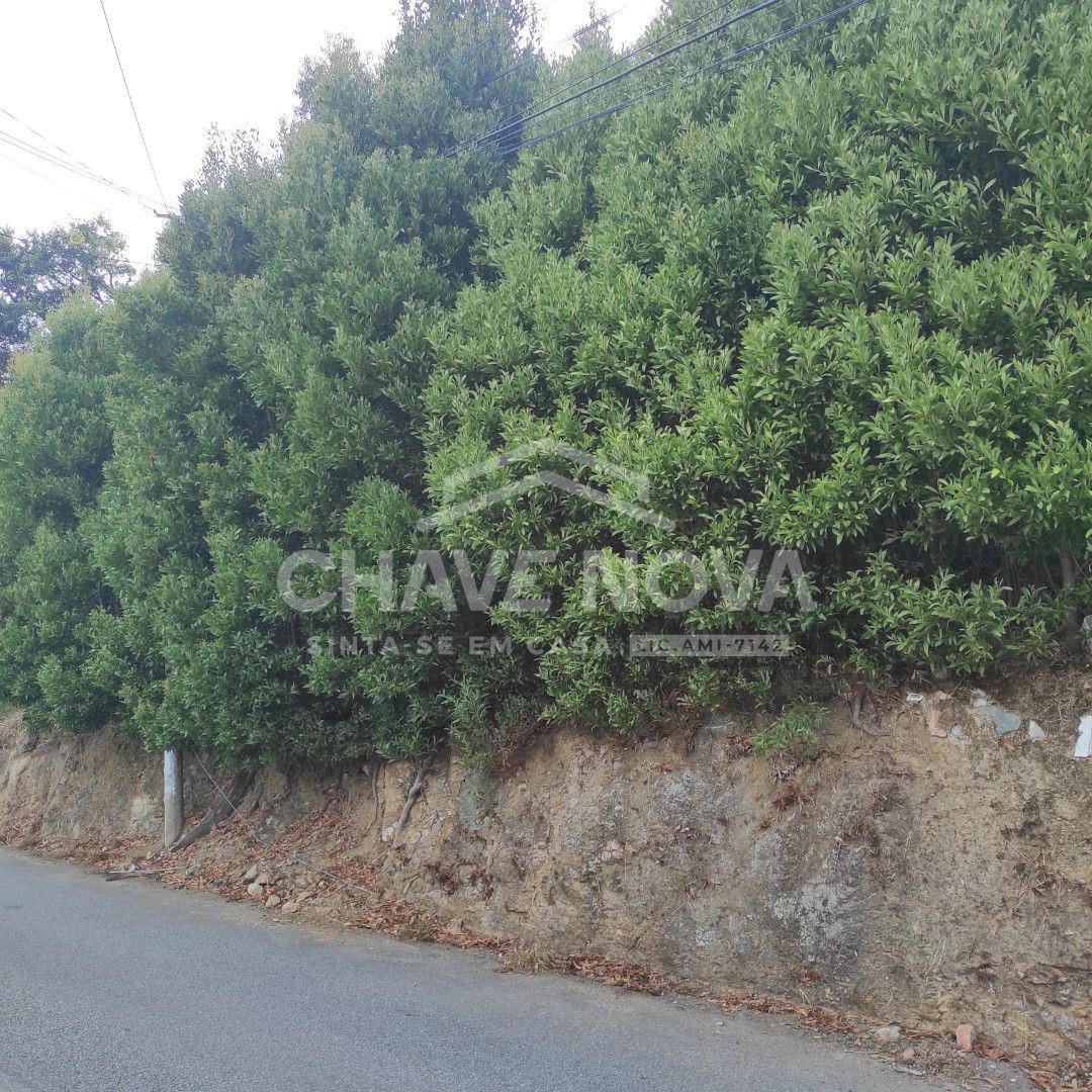 Terreno para Venda em Gulpilhares e Valadares