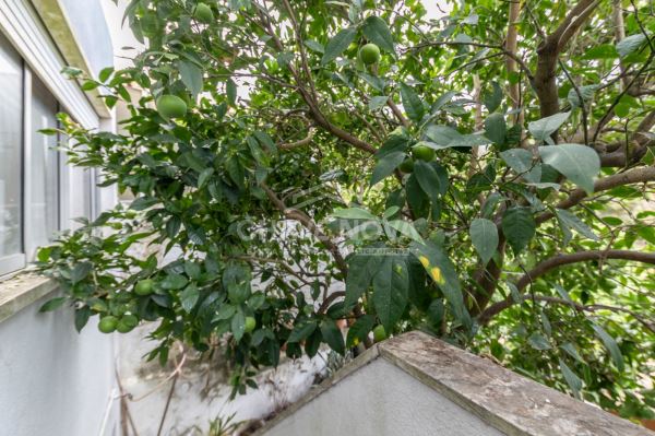 Apartamento T1 no rés-do-chão, com quintal, disponível para venda em Paio Pires.